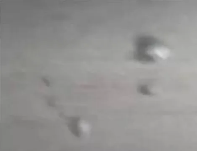 &#30343;&#20896;